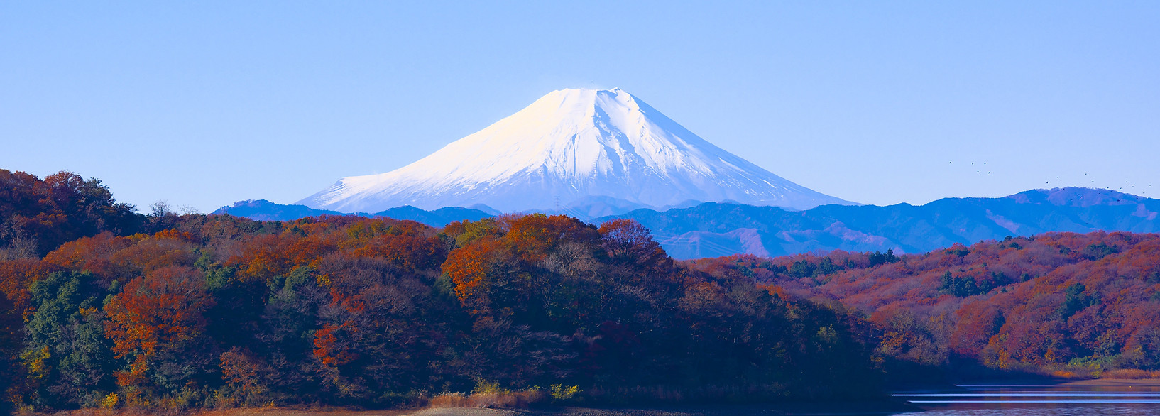 Mount Fuji in the Fall