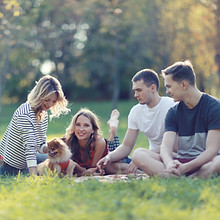 Menschen sitzen auf einer Wiese