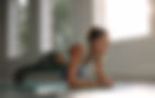 Woman Doing Push Ups