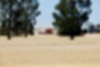 Wide weat fields.