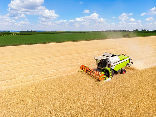 Harvesting
