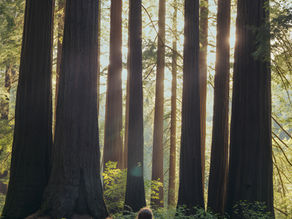 Why I don't use the term 'Self Sabotage'