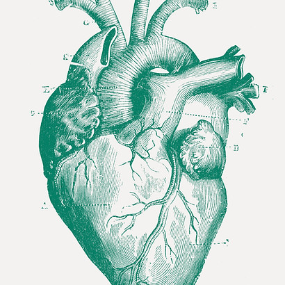 Illustrated Medical Heart