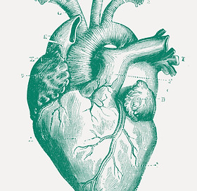 Illustrated Medical Heart