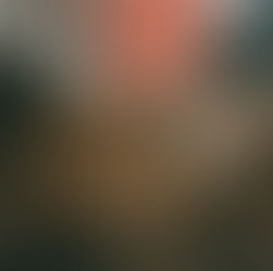 11-18 Tóm Tắt Về Luật Pháp