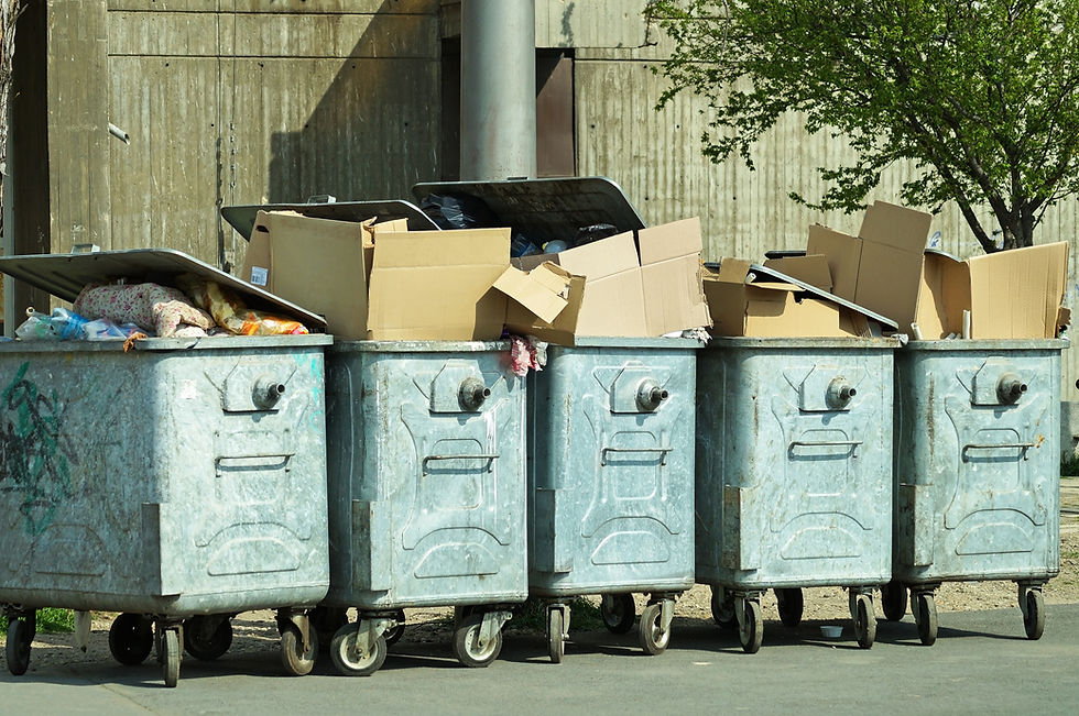Garbage cans full of waste
