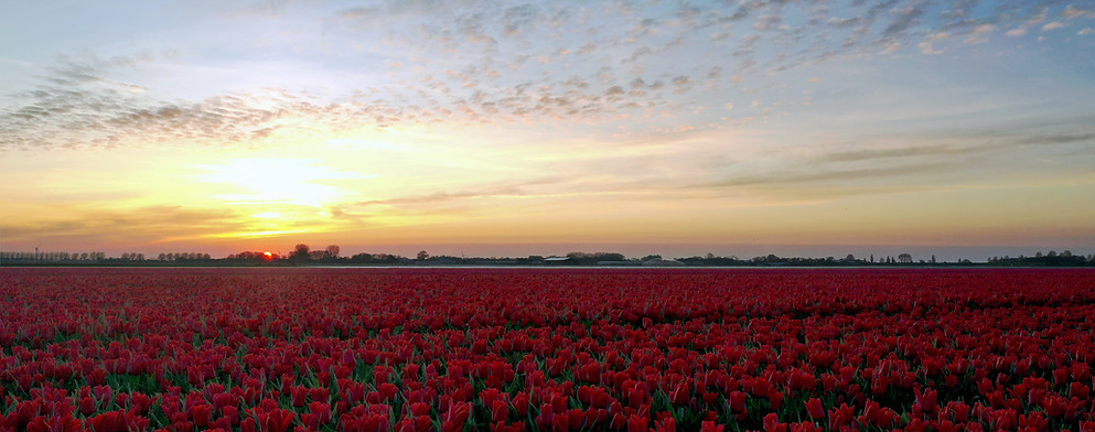 Beau coucher de soleil