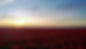 Tramonto bellissimo