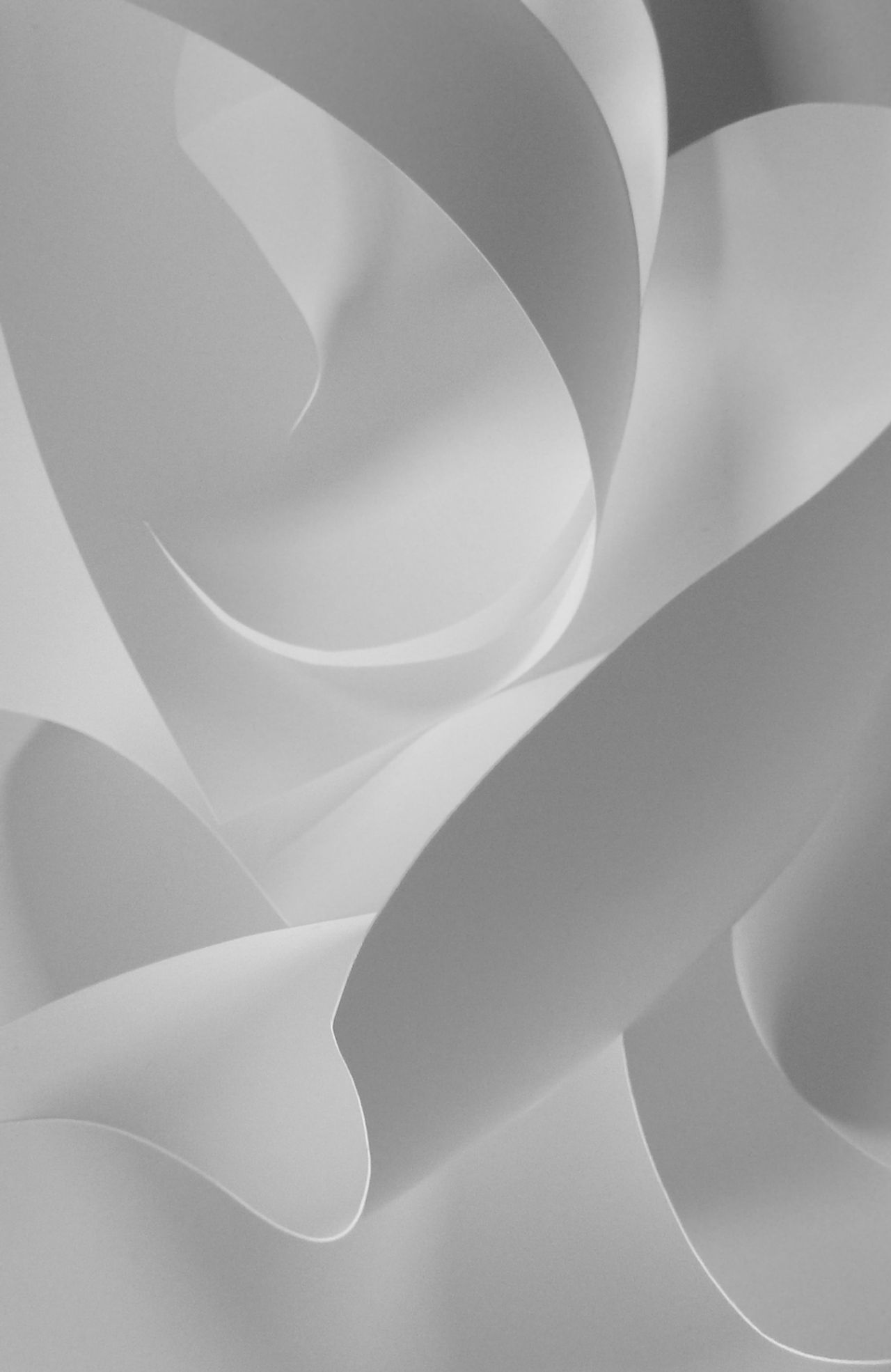 Abstract Curves