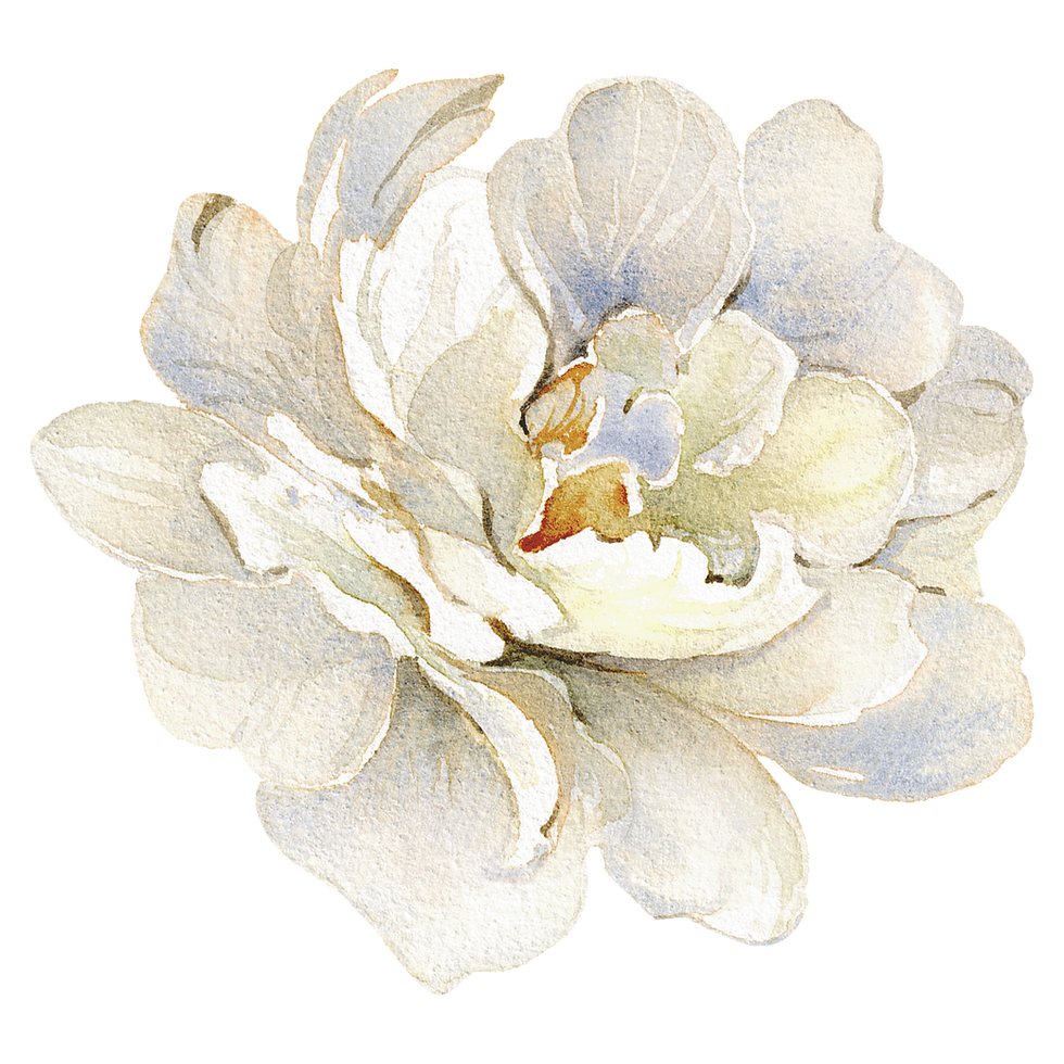 Watercolor White Flower