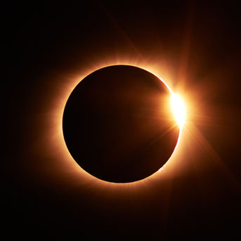 Treasure Coast Trivia: Winter 2026