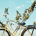 Vélo jaune