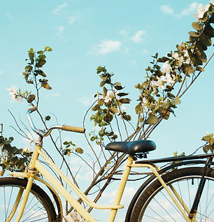 Yellow Bike