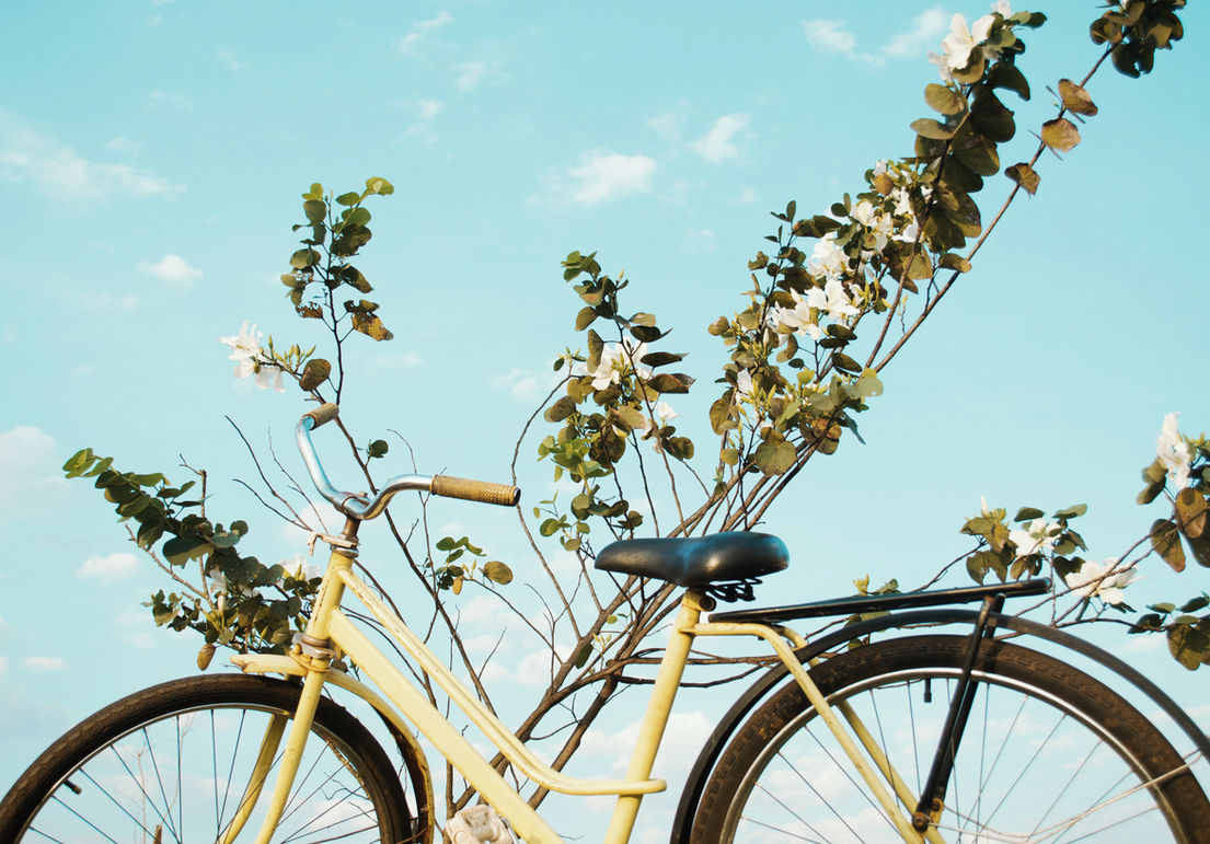 Yellow Bike
