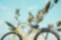 Yellow Bike