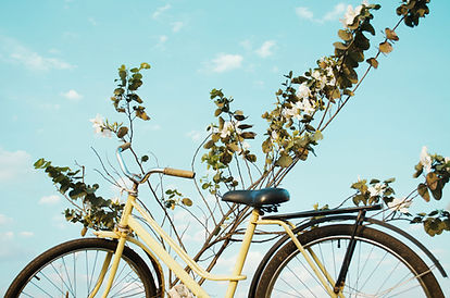 Bicicleta e natureza