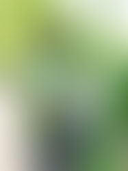 Greenpeace denuncia que el Plan Nacional de Desarrollo quiere contaminar el ambiente