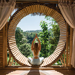 wellness, perte de poids