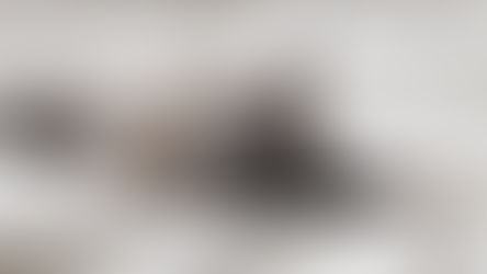 Grey cat sleeping on a soft bed