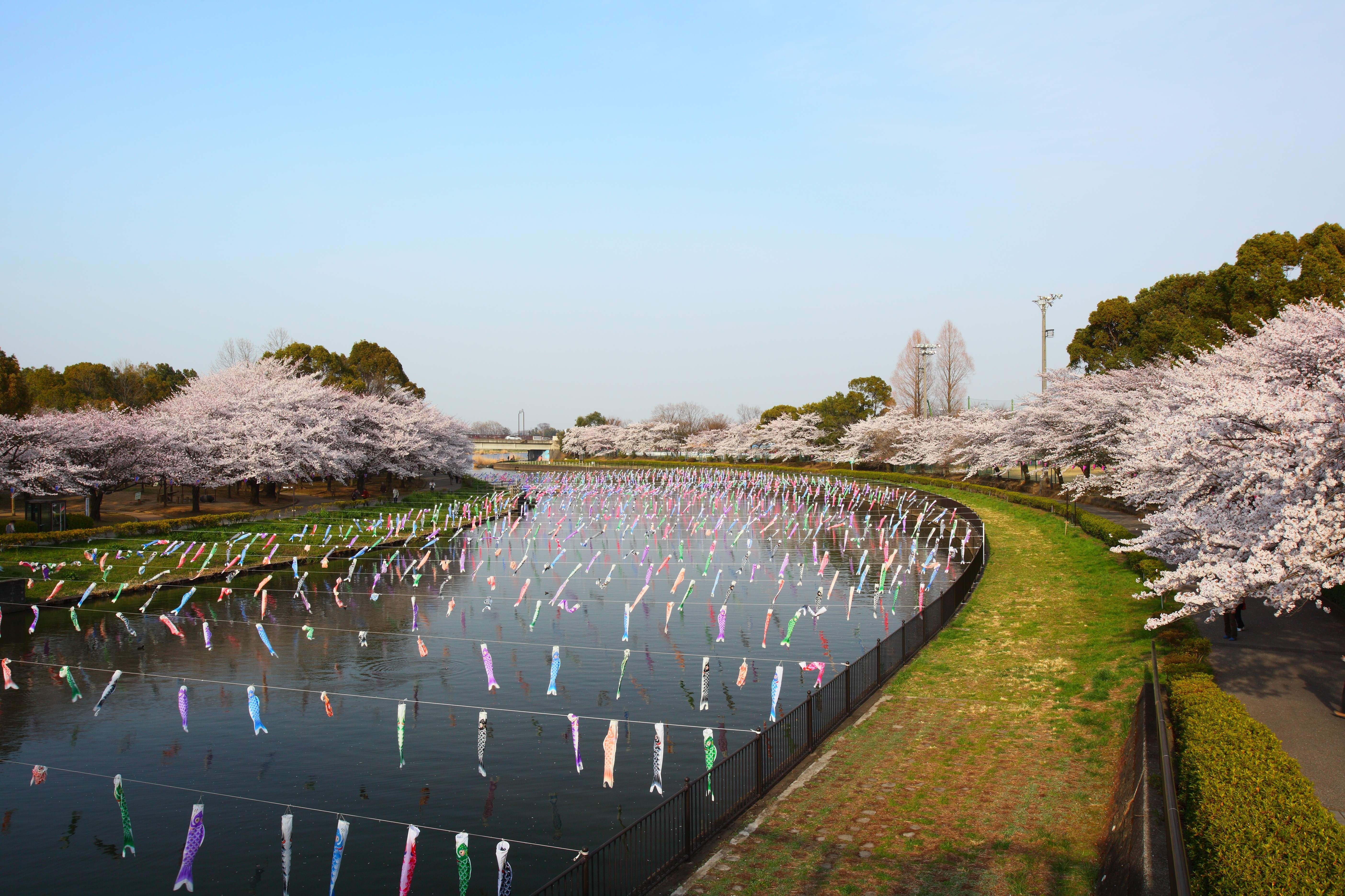 How Much Does a Japan Private Tour Guide Cost? A Complete Breakdown