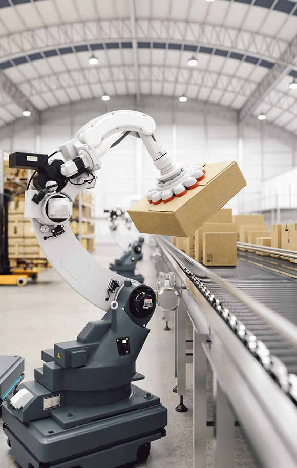 Warehouse Robot