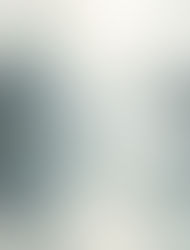 A lone bird in flight against a grey sky, evoking the openness and presence of self-led coaching
