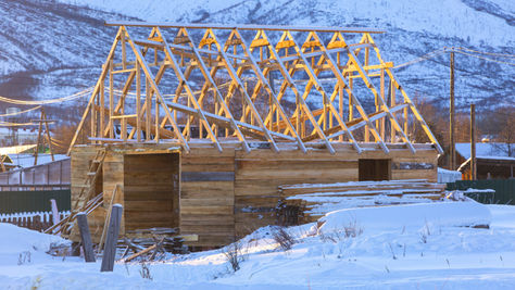 Building a Sustainable Future: Best Practices in the Timber Industry