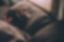 The Science of Sleep: How to Optimize Your Nightly Rest