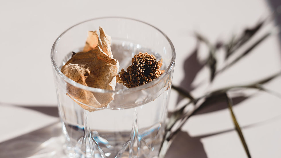 Dry Flower Petals