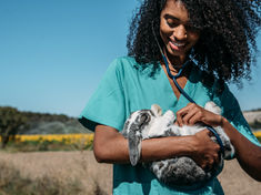 No Time or Money? Free Pet Webinars to Build Your Resume & Skills 