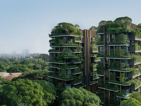 Why Supporting HECC Clothing Is More Than Just Fashion – It’s a Lifestyle of Values for Singaporeans