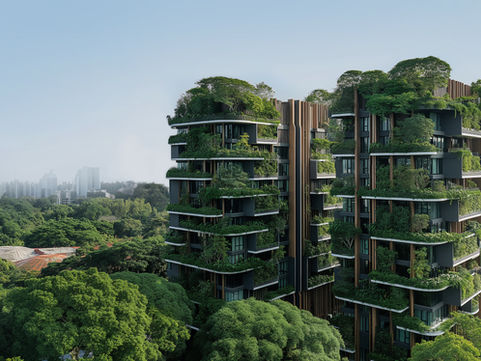 From Roots to Algorithms: Rethinking Forests in a Changing Economy