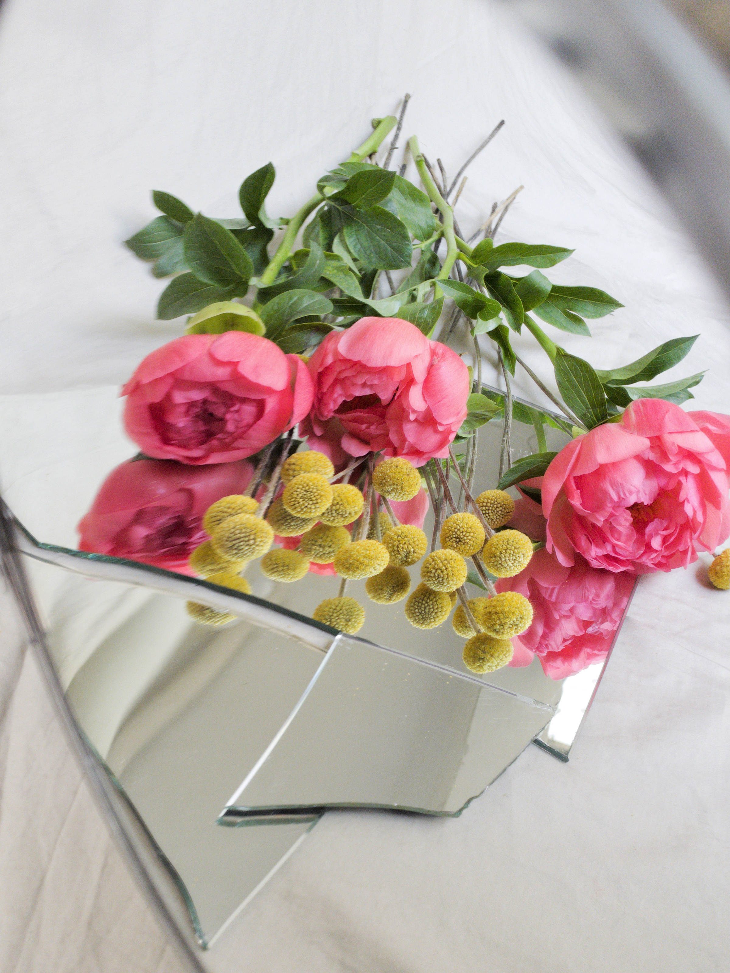 Fleurs sur le miroir