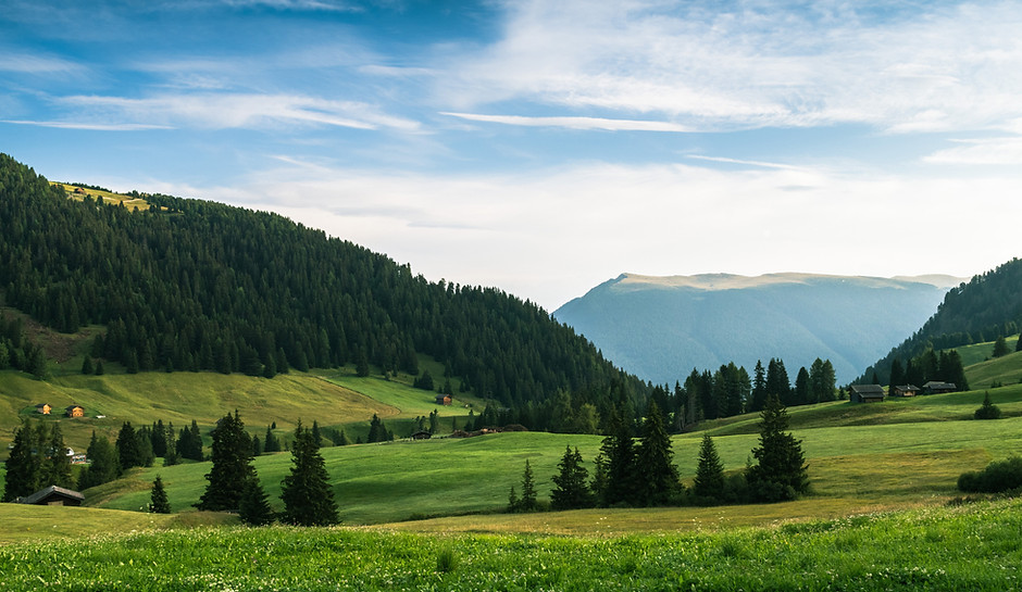 Green Landscape