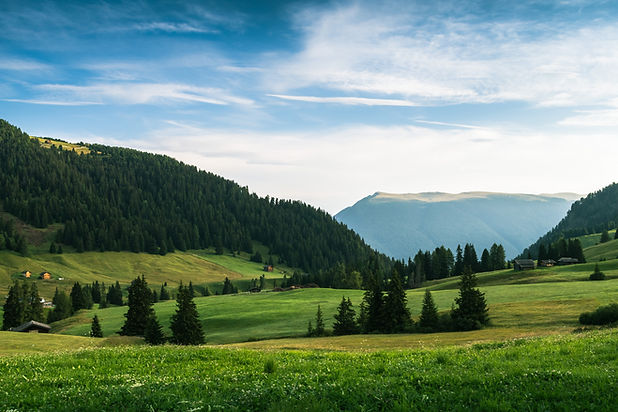 Panorama verde