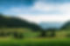 Green Landscape