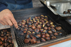 Roasted Chestnut