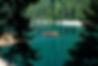 Pond