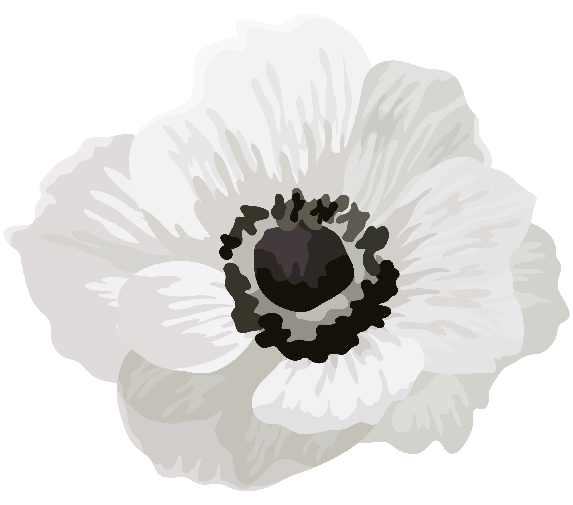 흰색 꽃 일러스트