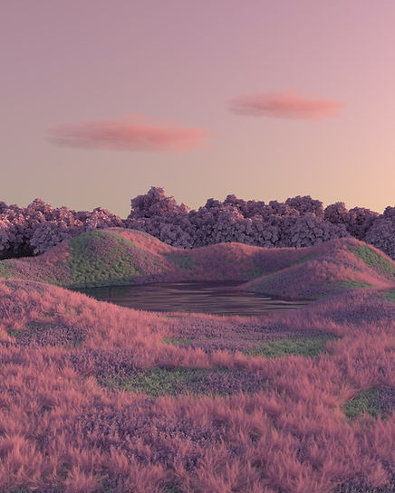 Purple Nature