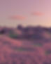 Purple Nature