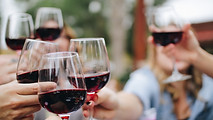 Wine Toast Outdoors