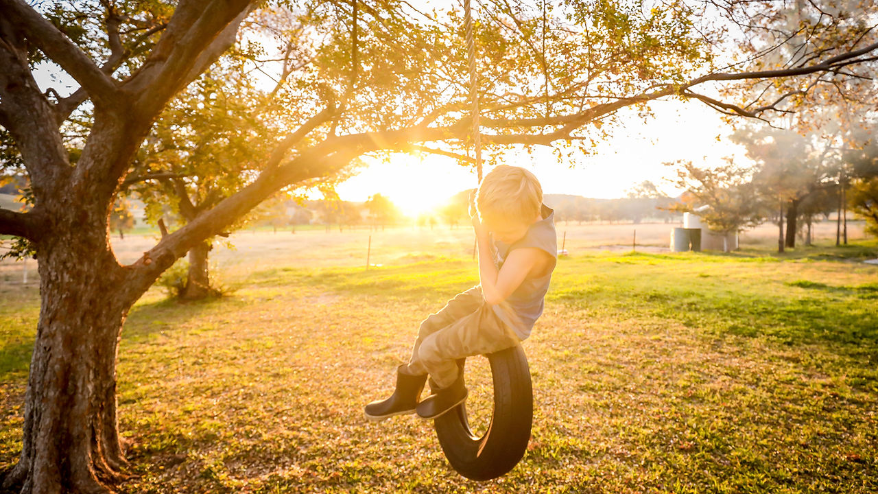 Tire Swing