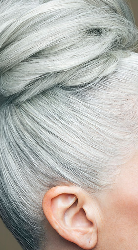 Silver Hair Bun