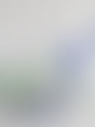 Build Your ERP with Airtable