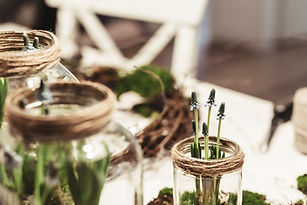 Glass Jars with Plants