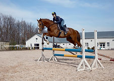 équitation pro