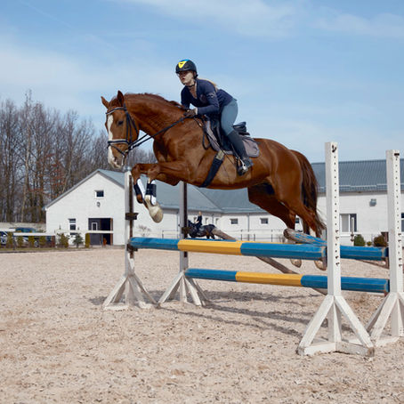 Horse and rider jumping