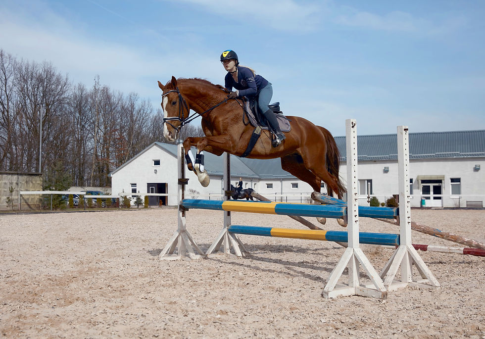 Equestrian Jumping Event