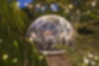 Outdoor Dining Dome